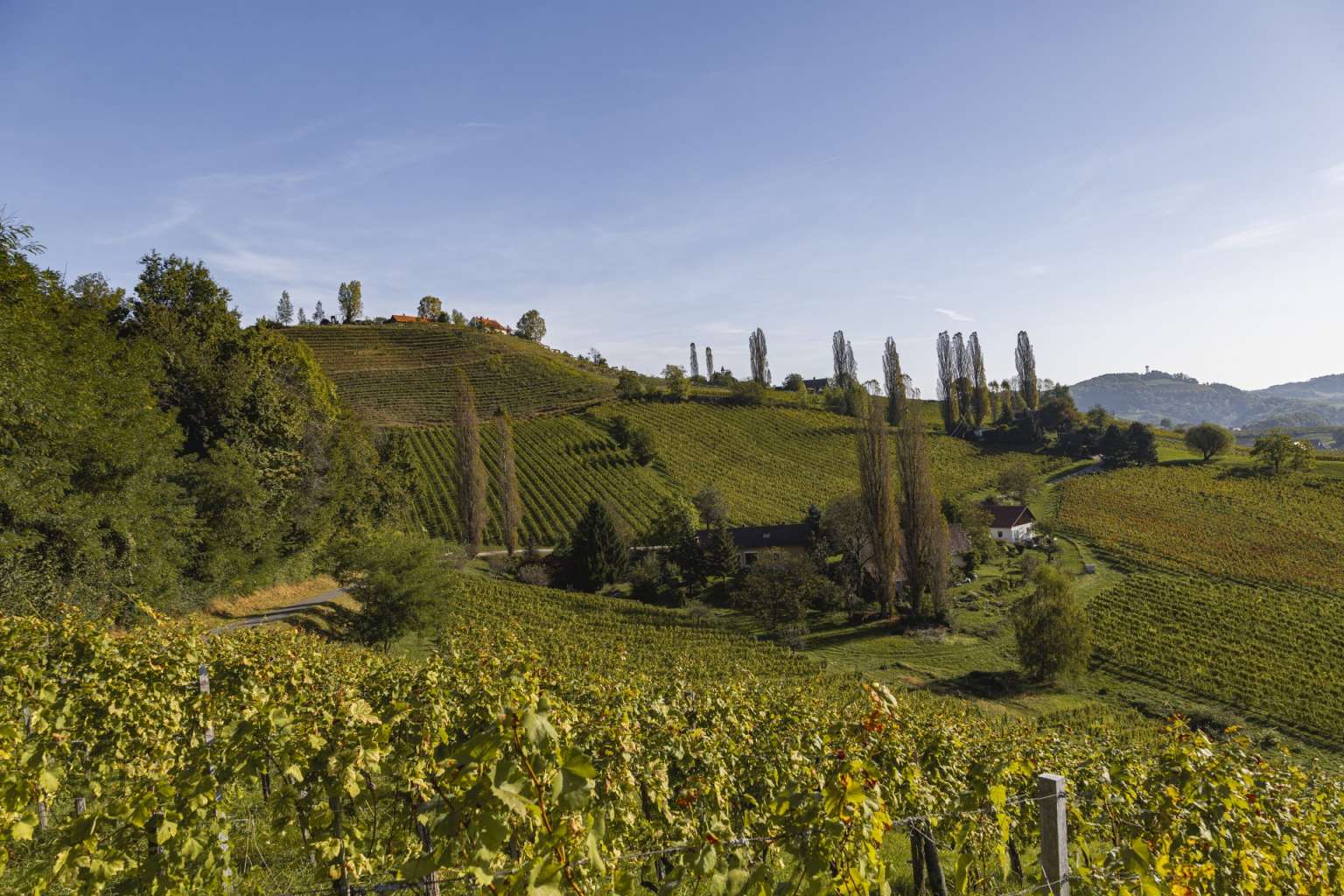 Zweytick_Landschaft_100011-1920x1280